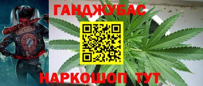 прущие грибы Азнакаево
