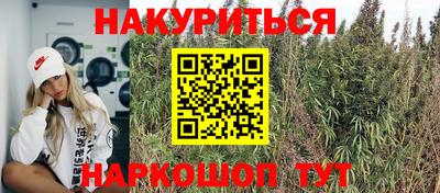 прущие грибы Азнакаево