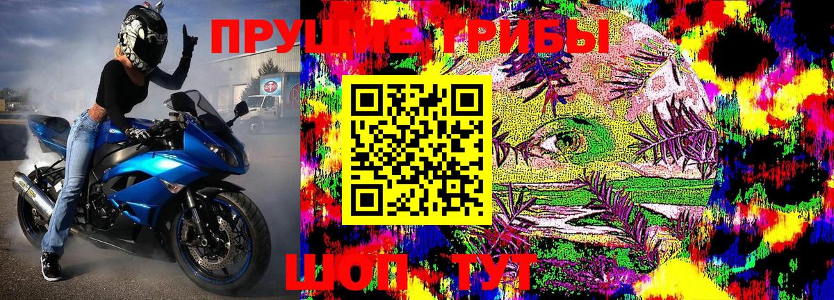 Галлюциногенные грибы Magic Shrooms  Псилоцибиновые грибы мухоморы  Нальчик 